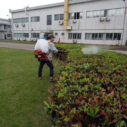 廣州天河區棠東某小學滅鼠滅四害